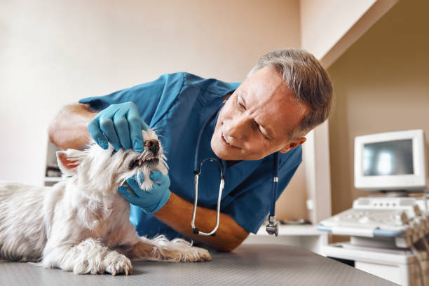 Best Same-Day Emergency Dental Services in Ritzville, WA